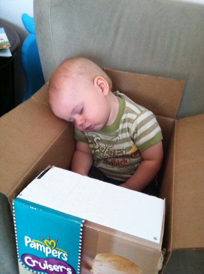 sleeping in a diaper box