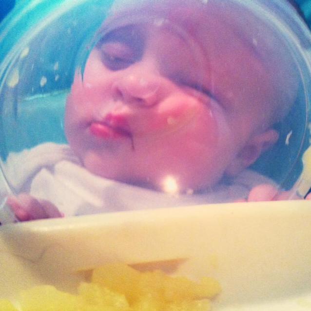 sleeping in glass bowl