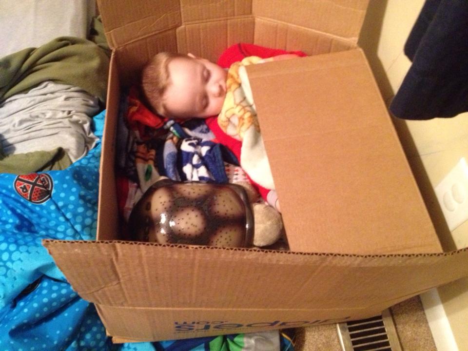 sleeping inside a box