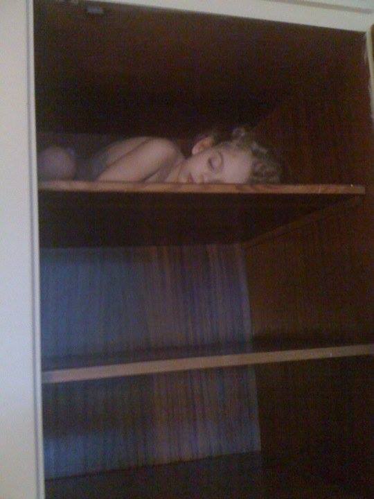 sleeping on top shelf in closet