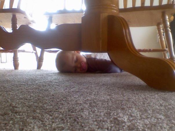 sleeping under the table