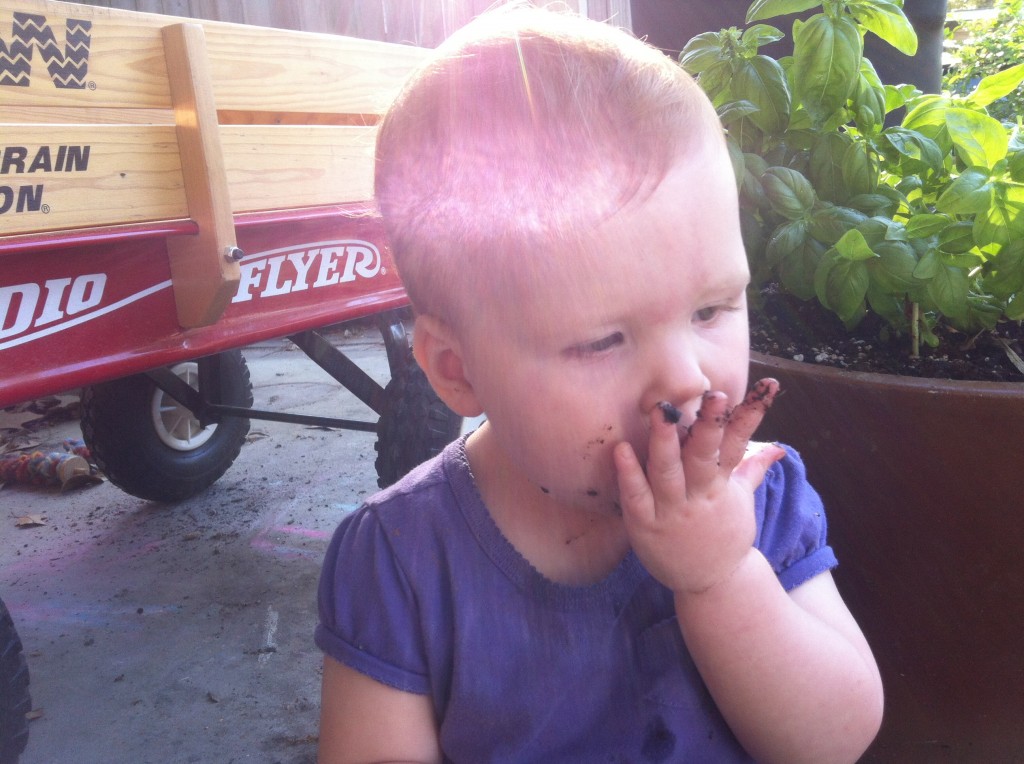 Sugarbaby eats dirt