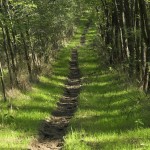 The Basics of Tongue and Lip Tie: Related Issues, Assessment and Treatment