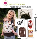 Safety: Who To Listen To, Carseat Giveaway, And Pregnant Lady Talk