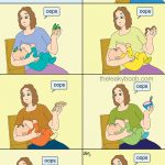 Breastfeeding During Pregnancy
