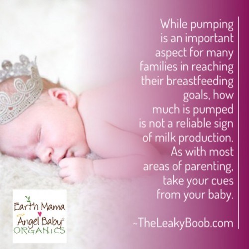 Pumping Breastmilk and What You Need To Know