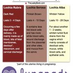 Stages of lochia postpartum bleeding lunapads reusable menstrual pads