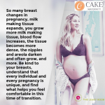 Looking to Increase Your Pumping Output? Try Parallel Pumping!