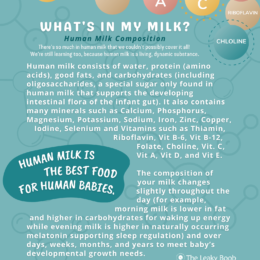 Lovin’ Every Shrieking Second