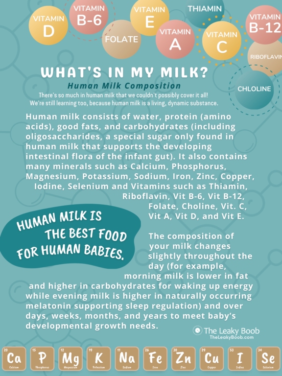 Can a Human Live on Breastmilk Their Entire Life?